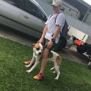 Meet your Posher, Mason